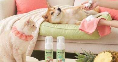 PIPPER STANDARD® เปิดตัวแชมพูอาบน้ำ และ โฟมอาบแห้งสัตว์เลี้ยง