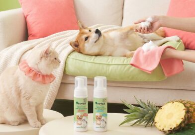 PIPPER STANDARD® เปิดตัวแชมพูอาบน้ำ และ โฟมอาบแห้งสัตว์เลี้ยง