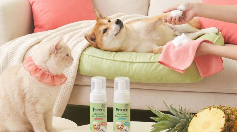 PIPPER STANDARD® เปิดตัวแชมพูอาบน้ำ และ โฟมอาบแห้งสัตว์เลี้ยง